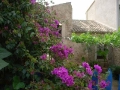 Casa Museo de Miguel Hernández
