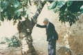 Vicente Ramos