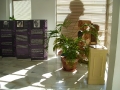 Exposiciones y Homenajes