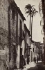 Callejon